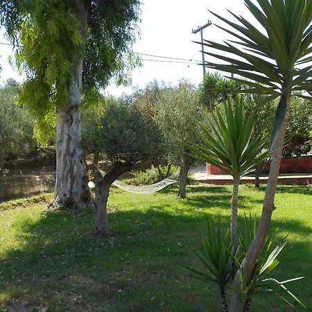 Vasiliki