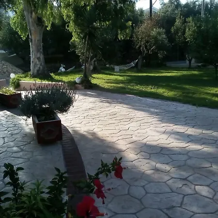 Vasiliki Tragaki