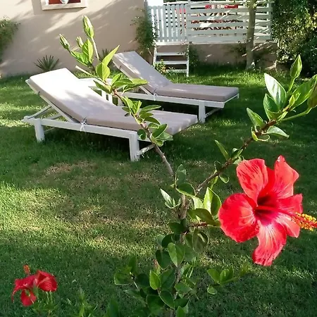Vasiliki Apartment