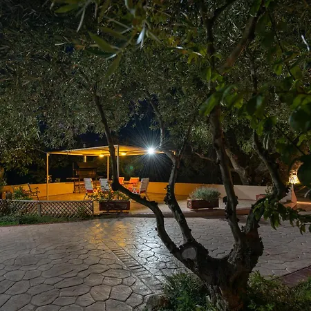 Vasiliki