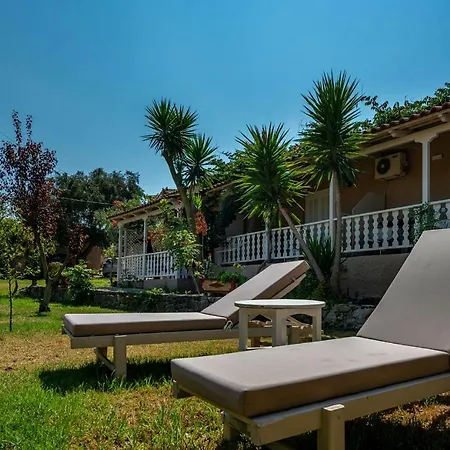 Vasiliki